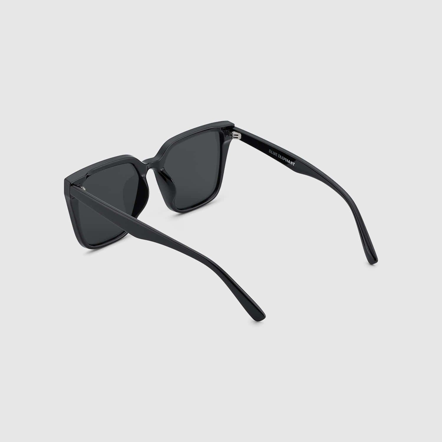 BLUE ELEPHANT – SEINA Black Sunglasses